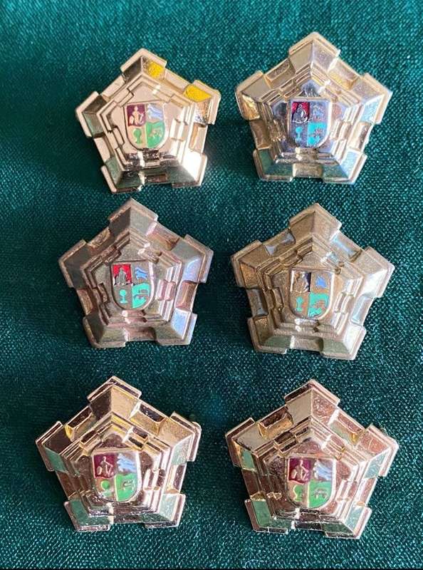 SA OFFICERS RANK PIPS IN GILT-WORN 1960`S-1970`S-PINS COMPLETE-SOLD IN BATCHES OF 6