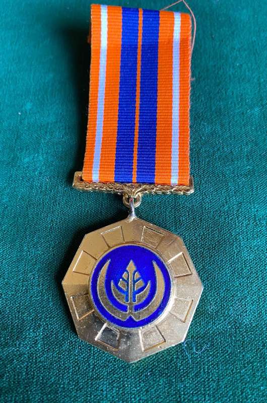 FULL SIZE PRO PATRIA MEDAL-SWIVEL SUSPENDER WITH LOW NO-ENAMEL BLUE ROUNDEL