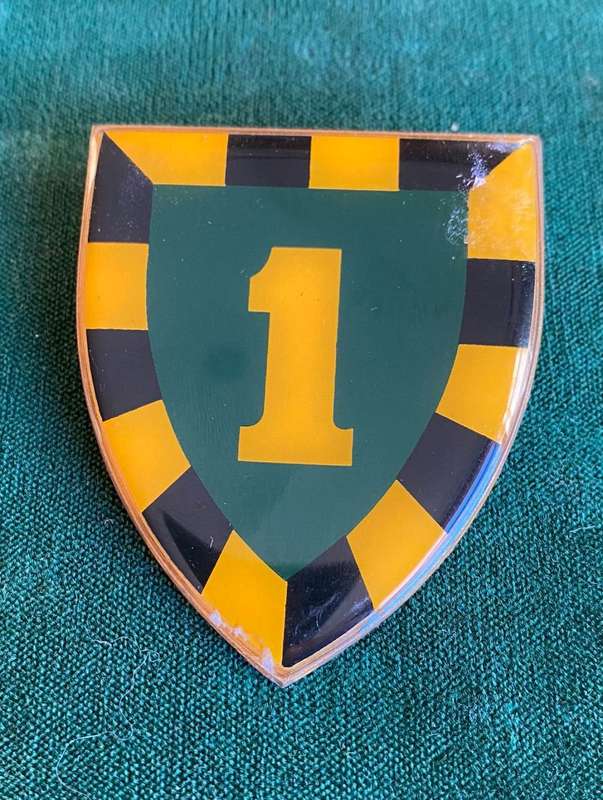 1 SA INFANTRY BATTALION FLASH-1 ST TYPE- 2 PINS