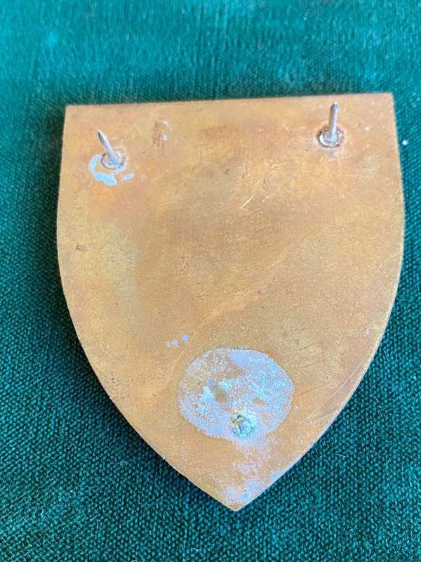 1 SA INFANTRY BATTALION FLASH-1 ST TYPE- 2 PINS