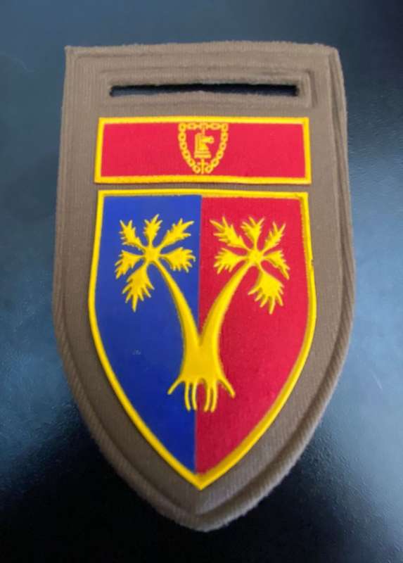 101 WORKSHOP,GROOTFONTEIIN,TUPPER FLASH WITH ARMY BATTLE SCHOOL COMMAND BAR- ONE PIN
