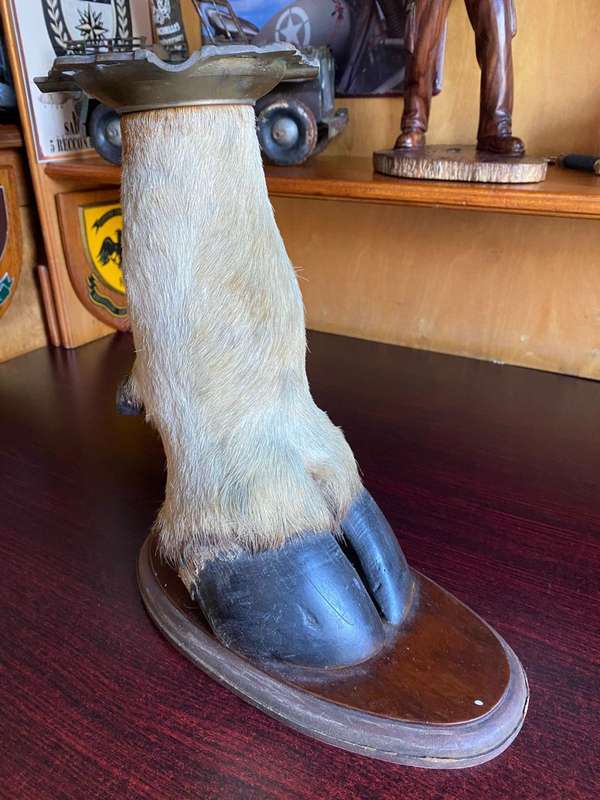 MOUNTED ELAND LEG ASHTRAY-HEIGHT 29CM-BASE MEASURES 25X 13 CM