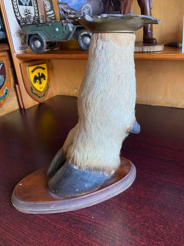 MOUNTED ELAND LEG ASHTRAY-HEIGHT 29CM-BASE MEASURES 25X 13 CM