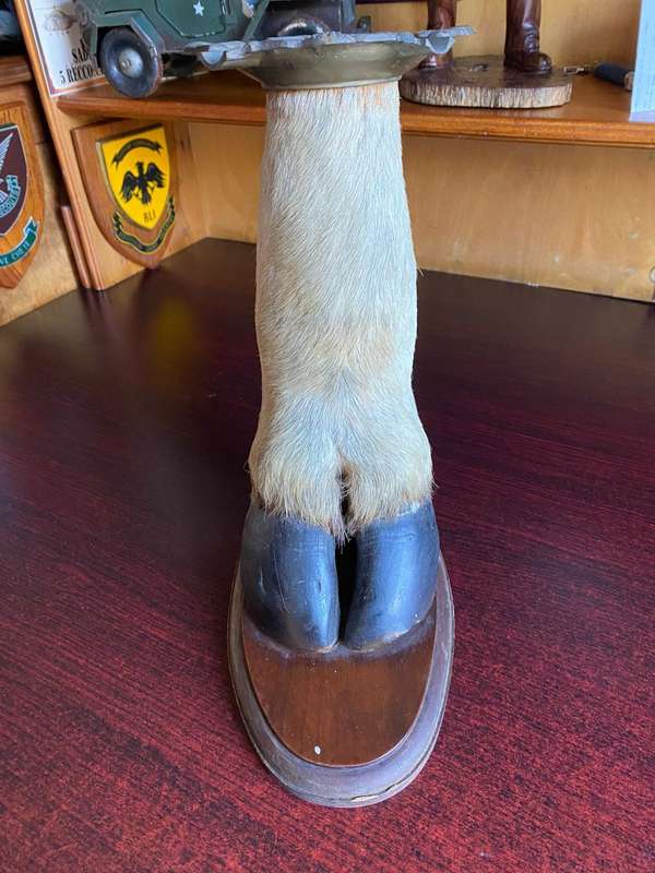 MOUNTED ELAND LEG ASHTRAY-HEIGHT 29CM-BASE MEASURES 25X 13 CM