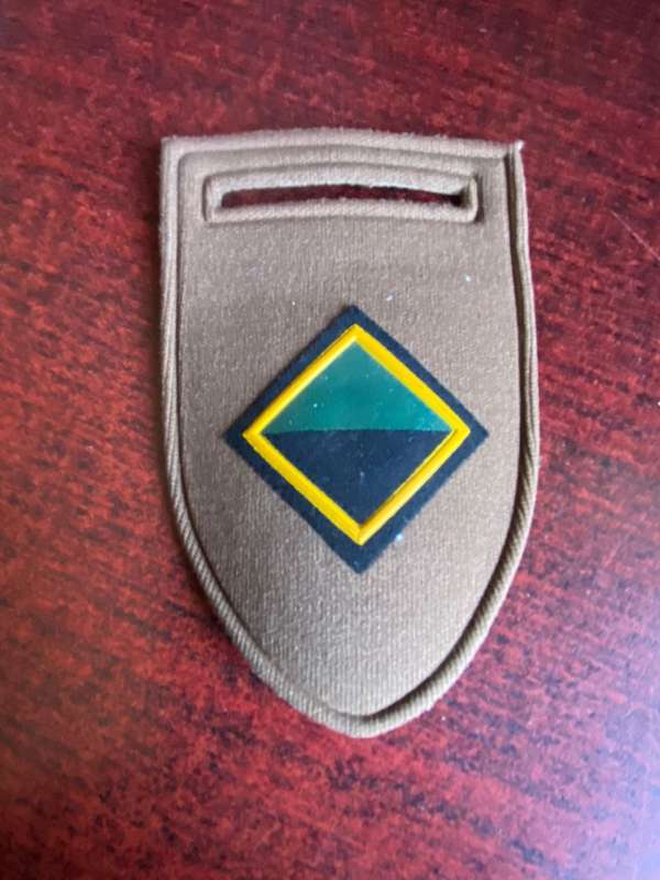 SA INFANTRY HQ TUPPER FLASH-ONE PIN