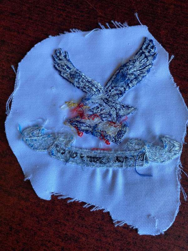 SAAF COLLEGE PT VEST BADGE
