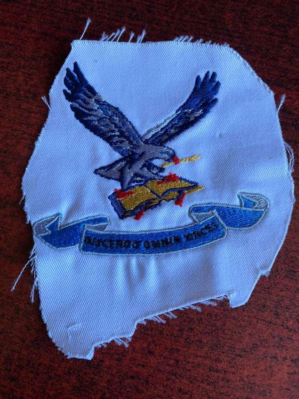 SAAF COLLEGE PT VEST BADGE