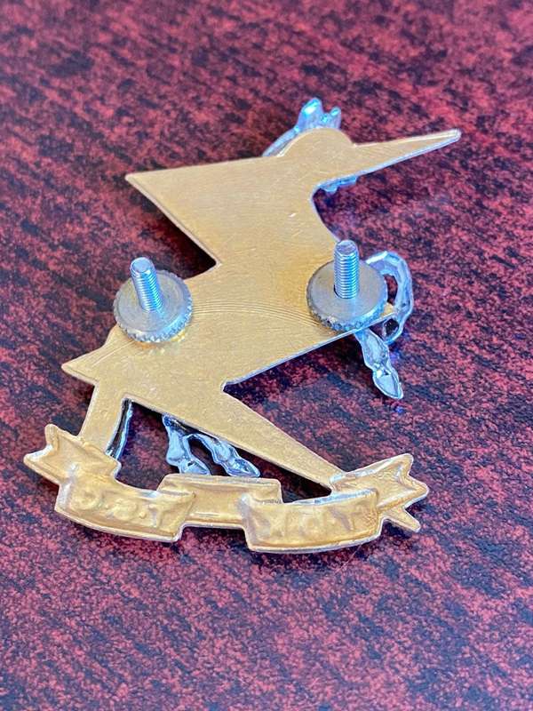 SA TECHNICAL SERVICE UNIT CAP BADGE-2X SCREW LUGS
