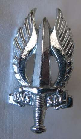 REGIMENT NORTHERN TRANSVAAL CHROME CAP BADGE WORN POST '67 - 2 x  SCREW LUGS