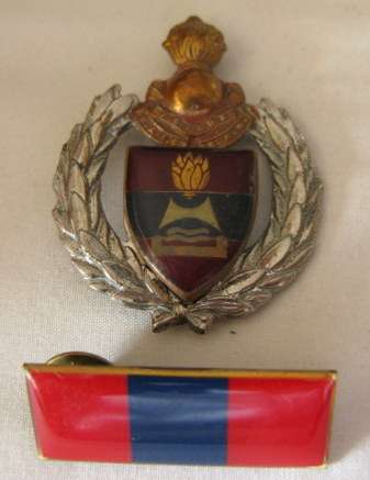 2 FIELD ENGINEER REGIMENT CAP BADGE & BAR - APPROVED IN 1986 - LUGS & PINS INTACT