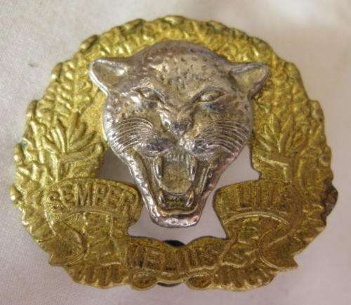 6SA INFANTRY TRAINING UNIT BI-METAL CAP BADGE - VOIDED TYPE - APPROVED 1986 - 2X SCREW LUGS