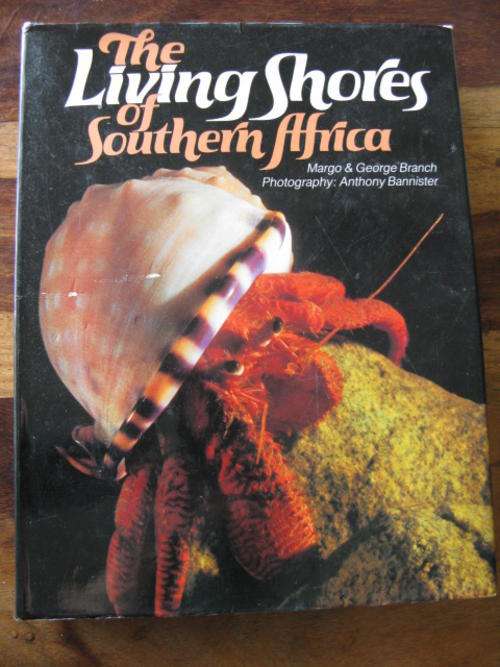 THE LIVING SHORES OF SOUTHERN AFRICA - 3RD EDITION PUBLISHED 1985 HARDCOVER WITH DUSTCOVER