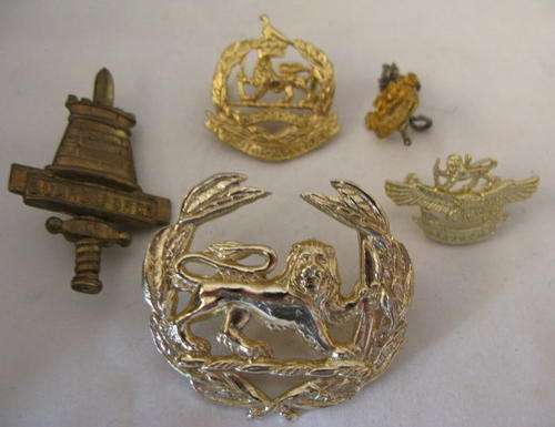RHODESIAN BADGES AND RANK SELECTION - LUGS INTACT
