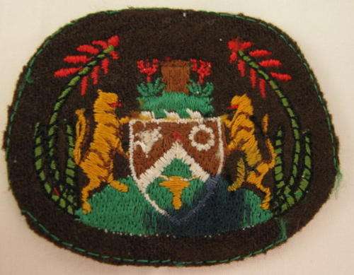 TRANSKEI DEFENSE FORCE WARRANT OFFICER CLASS 1 RANK BADGE