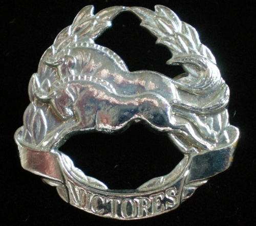 NATAL COMMAND H.Q UNIT CAP BADGE -2PINS