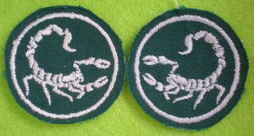 RECCE/HUNTER GROUP INSTRUCTOR CLOTH ROUDEL-SILVER/GREY SCORPIONS ON GREEN BACKGROUND FOR INSTRUCTOR'