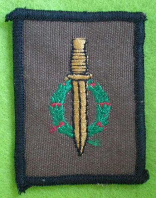 RECCE/SPECIAL FORCES OPERATOR BADGE PROPOSED 1995-NEVER ADAPTED
