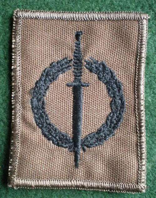 RECCE OPERATOR QUALIFICATION BADGE-BLACK THREAD EMBROIDERED ON NUTRIA WITH BROWN MERROW BORDER-ORIGI