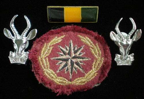 RECCE REGIMENTS FOURTH ISSUE 1988 COMPASS ROSE-GOLD LUREX THREAD WREATH&SILVER&BLACK THREAD COMPASS