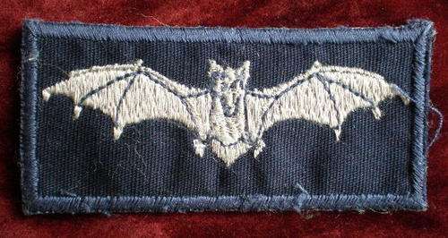 EARLY TYPE JUNIOR RECCE WINGS WORN ON NUTRIA BY AIR FORCE PERSONNEL-ORIGINAL-EMBROIDERED VARIATION