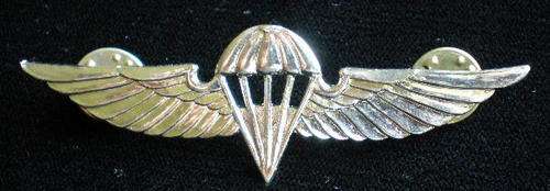 ISRAEL BASIC PARA WING-METAL-2 PINS