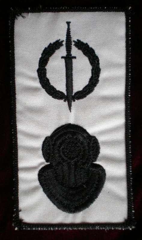 RECCE OPERATOR + DIVER QUALIFICATION BADGE-ORIGINAL-PROTOTYPE-SCARCE-INITIALLY OFFICIALLY COMMISSION