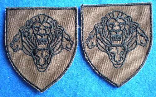 SANDF-SPEAR OF THE NATION CLOTH ARM FLASH PAIR-EMBROIDERED ON NUTRIA