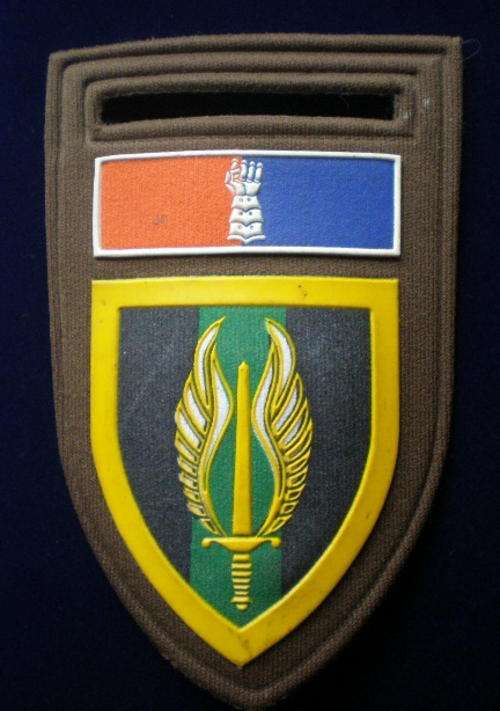 TUPPER FLASH-REGIMENT NORTHERN TRANSVAAL WITH 32 FIELD WORKSHOP COMMAND BAR-ORIGINAL-ONE PIN