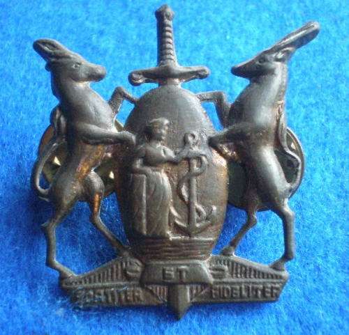 SA COLOURED CORPS BRASS COLLAR BADGE-2 LUGS