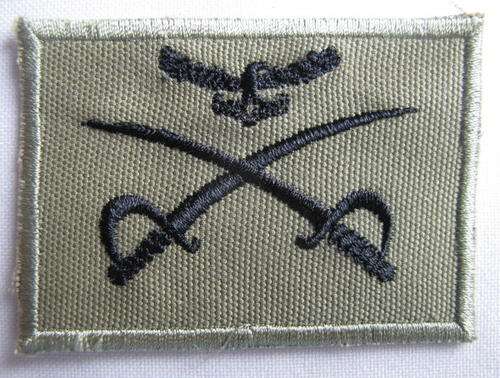 SAAF ASSISTANT PT INSTRUCTORS BADGE,BLACK EMBROIDERED ON THATCH BEIGE BACKING