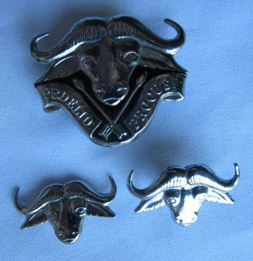 32 BATTALION CHROMED CAP + COLLAR BADGES-ACCEPTED 1977-ONE COLLAR BADGE WITHOUT PINS-ORIGINAL