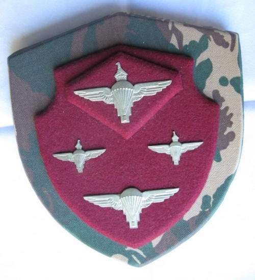 ZIMBABWE ARMY PARACHUTE REGT. METAL QUALIFICATION WINGS WITH ZIMBABWE PARACHUTE REGIMENT BERET & COL