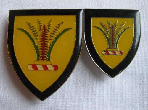 SWA SECTOR 10 HQ FULL SIZE & POCKET FLASH-SOLD TOGETHER-ORIGINAL-PINS INTACT