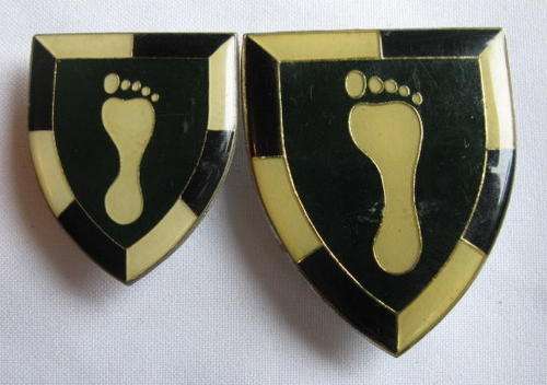 SWA-SPECIALIST UNIT-FULL SIZE & POCKET FLASH-SOLD TOGETHER-PINS INTACT-ORIGINAL
