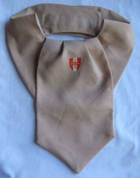 SADF PERSONNEL SERVICES SCHOOL CRAVAT