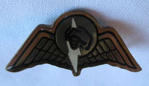 SA RAILWAY POLICE TASK FORCE,BREAST BADGE-ORIGINAL-2 PINS