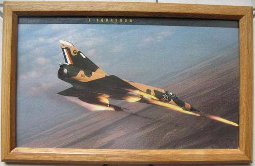 SAAF FRAMED PHOTOS BY HERMAN POTGIETER-FRAMED IN CHINESE OAK&GLASS-MEASURES 56X36 CM