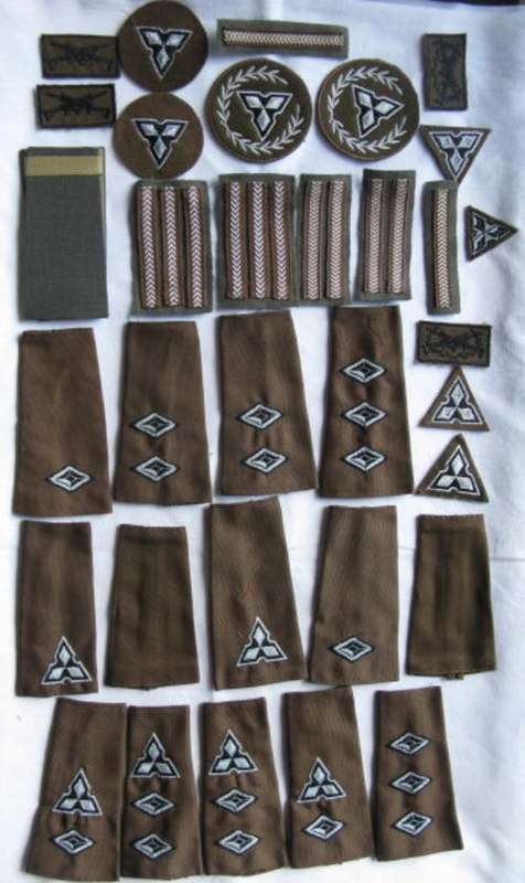 SWA TERRITORY FORCE RANK COLLECTION & MARKSMAN BADGES-34 ITEMS IN TOTAL