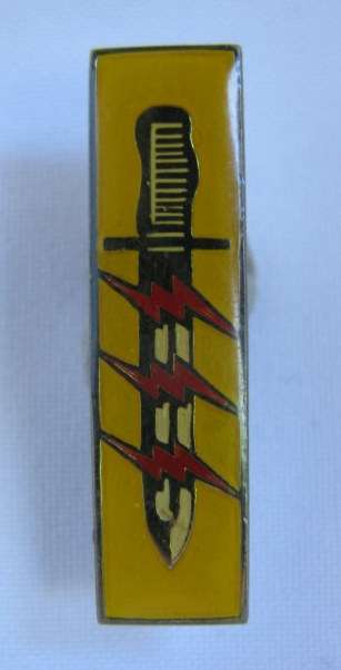 61 MECHANISED BATTALION GROUP OPERATIONS PARTICIPATION BADGE WHITE HANDLE VARIATION-2 PINS-ORIGINAL