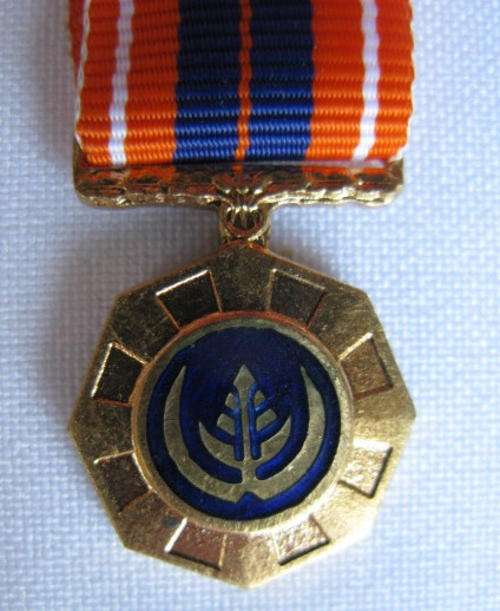 MINIATURE PRO PATRIA MEDAL