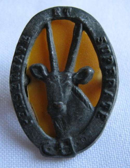 8 SA INFANTRY TRAINING UNIT GREY METAL CAP BADGE-APPROVED IN 1988-2X SCREW LUGS