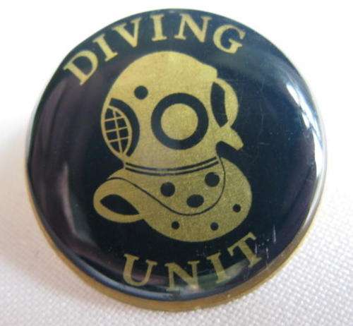 SA POLICE DIVING UNIT,BLUE & GOLD LUCITE COVERED BREAST BADGE-2 PINS