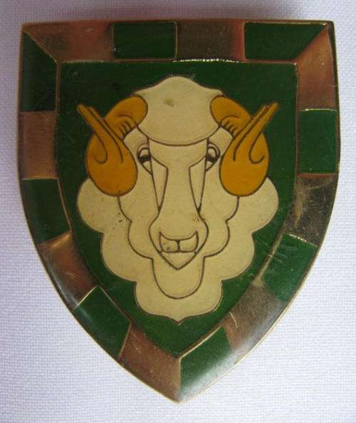 REGIMENT GROOT KAROO SHOULDER FLASH-ORIGINAL-3 PINS