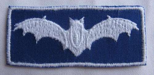 REPLICA OF JUNIOR RECCE WINGS WORN ON NUTRIA BY AIR FORCE PERSONNEL
