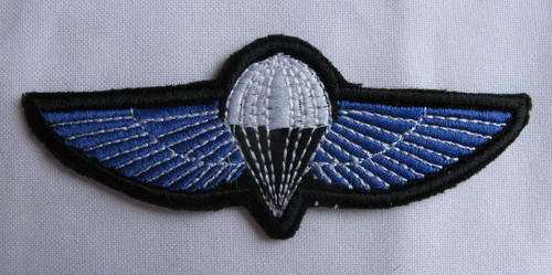 RECCE/HUNTER-GROUP PARA WING-COPY