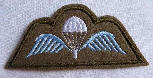 NEW ZEALAND ARMY PARA A WING
