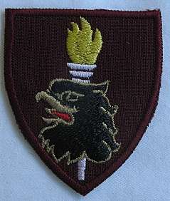 44 PARA TRAINING SCHOOL CLOTH FLASH