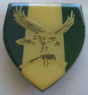 SHOULDER FLASH - SWA 101 BATTALION RECCE COMPANY - 3 PINS - ORIGINAL