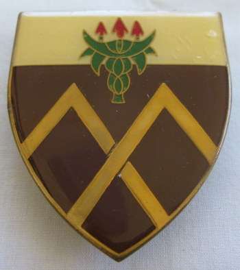 SHOULDER FLASH - AMATOLE COMMANDO - 3 PINS - ORIGINAL