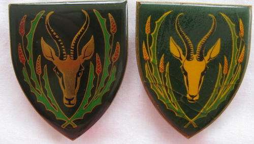 SHOULDER FLASH - 5 SA INFANTRY BATTALION -YELLOW TYPE 1ST ISSUE AND GOLD 2ND TYPE ISSUE- 3 PINS